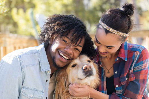 The Connection Between Puppies, Sleep Quality, and Happiness: A Research-Based Insight