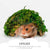 Reptile Hideout & Basking Platform for Turtles, Lizards, and More