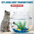Plastic Fish Bowl - Desktop Aquarium Tanks (Small, Medium, Large) for Betta & Mini Fish