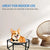 Elevated Dog Bed for Small Dogs, Raised Cooling Cot with Mesh, Gray