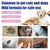 Pet Anti-Flea Spray – Itch Relief, Tick Control & Antiparasite Treatment for Dogs & Cats