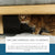 Cat Anti Scratch Spray - Natural Chewing & Scratch Deterrent for Furniture Protection