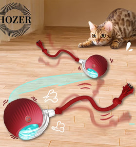 Automatic Rolling Cat Toy