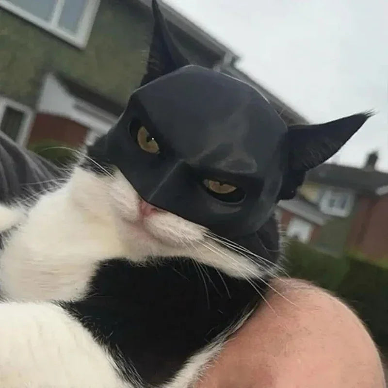 Black Bat Cat & Dog Mask - Cute Superhero Pet Toy