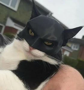 Batman costume for cats and good looking