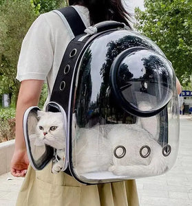 Breathable Transparent Pet Backpack Carrier - Cat & Dog