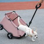 Carrier & stroller for dog - cat