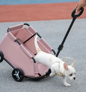 Carrier & stroller for dog - cat