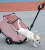 Carrier & stroller for dog - cat