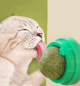 Catnip Wall Stick-on Ball Toy