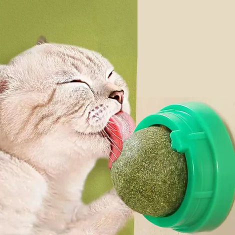 Catnip Wall Stick-on Ball Toy