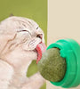 Catnip Wall Stick-on Ball Toy