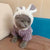 Cute Bunny Coat for Cats
