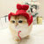 Cute Pet Head Cover Hat red