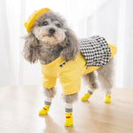 Cute socks for dogs and cats