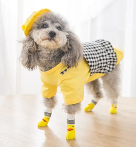 Cute socks for dogs and cats