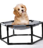 Elevated Dog Bed for Small Dogs