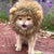 Fancy Pet Wig Costume Puppy Joy

