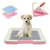 Portable Dog Training Toilet – Indoor Potty & Pad Holder for Small Dogs and Cats