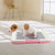 Portable Dog Training Toilet – Indoor Potty & Pad Holder for Small Dogs and Cats