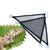 Bearded Dragon Hammock & Lounger with Ladder - Reptile Cage Decor