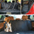Dog Car Seat Cover with Armrest Access Waterproof