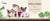 Customized Leather Dog Collar – Soft Padded with Engraved ID Nameplate for All Dog Sizes