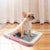 Portable Dog Training Toilet – Indoor Potty & Pad Holder for Small Dogs and Cats