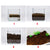 Natural Coconut Fiber Substrate - Reptile Bedding for Tortoises, Lizards & Terrariums