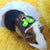 Adjustable Hamster Harness & Leash Set for Small Pets
