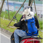 Hiking pet backpack
