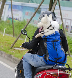 Hiking pet backpack
