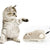  Interactive Plush for Boredom Relief