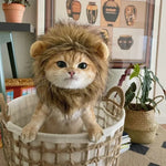 Lion Mane Cat Wig Pet Lion Costume

