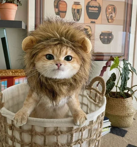 Lion Mane Cat Wig Pet Lion Costume

