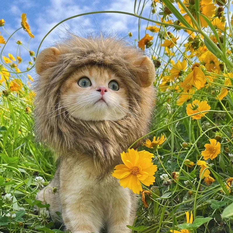 Funny Pet Wig – Lion Mane Hat for Cats & Dogs