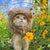 Lion cute cat costume for pet