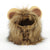 Lion king cute cat costume