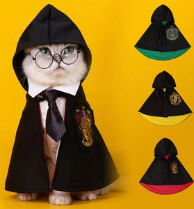 Magic Academy Pet Shawl
