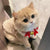 New Arrival Ins Dog Cat Clothes Heattech Lamb Wool