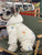 Four-Legged Winter Pet Jacket for Small Dogs