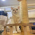 Thickened Winter Vest for Cats and Small Dogs