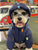 Four-Legged Winter Pet Jacket for Small Dogs