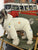 Four-Legged Winter Pet Jacket for Small Dogs