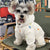 Four-Legged Winter Pet Jacket for Small Dogs