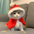 Pet Christmas Hat & Scarf Costume cat
