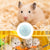 Hamster Jogging Ball - Safe Exercise Wheel for Pets