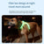 LED Light-Up Dog Harness – Adjustable & USB Rechargeable for Safety