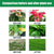 Reptile Coconut Fiber Substrate - Pressed Coir Bedding for Tortoises, Lizards & Terrariums