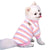 Rainbow Dog Clothes - Warm Fleece Vest & T-Shirt for Dogs & Cats